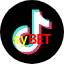sybet TikTok